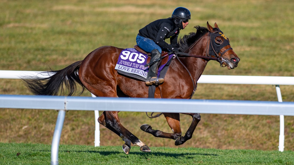 2022 Breeders' Cup Best Bets for Friday Image