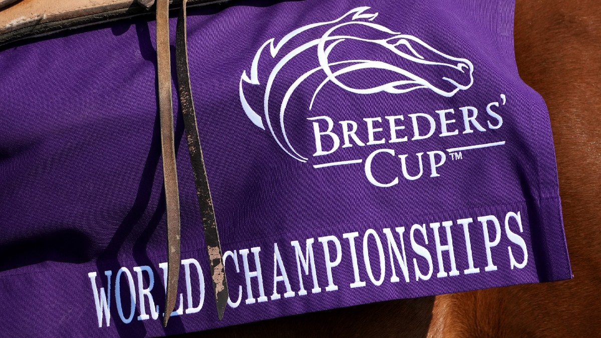 2022 Breeders' Cup Best Bets for Saturday Image