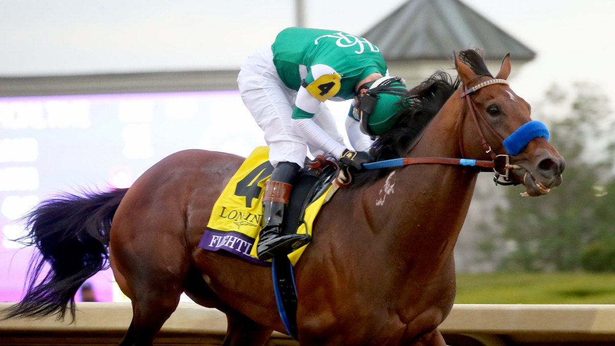 Breeders Cup Winner Flightline Sold at Implied $186M Valuation: A Deal or Fool’s Gold? Image