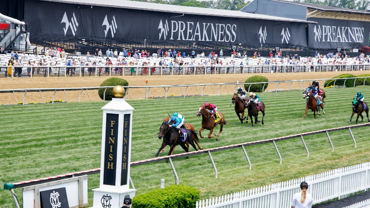 2023 Preakness: Black-Eyed Susan Best Bets, Betting Card Picks Image