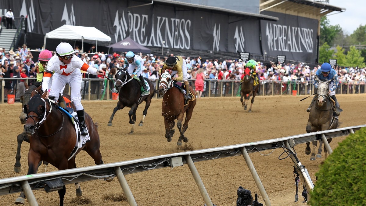 Our Experts' Best Bets for the Preakness Stakes Image