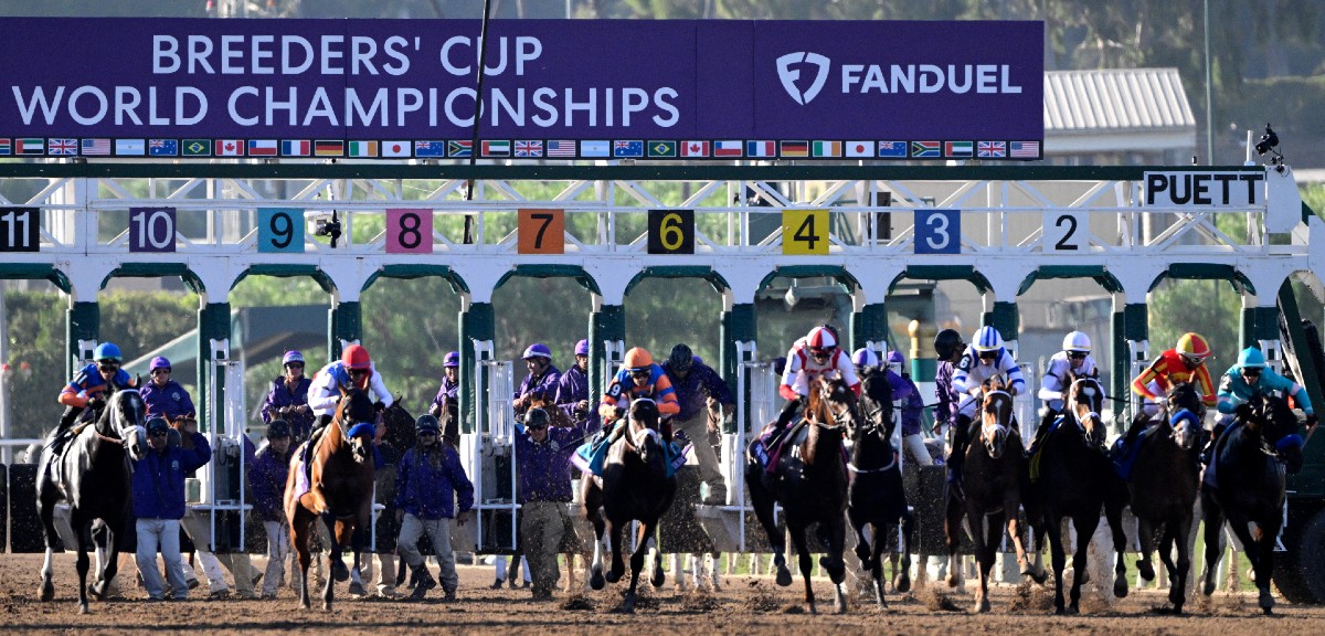 Breeders’ Cup Best Bets: Saturday's Picks Image