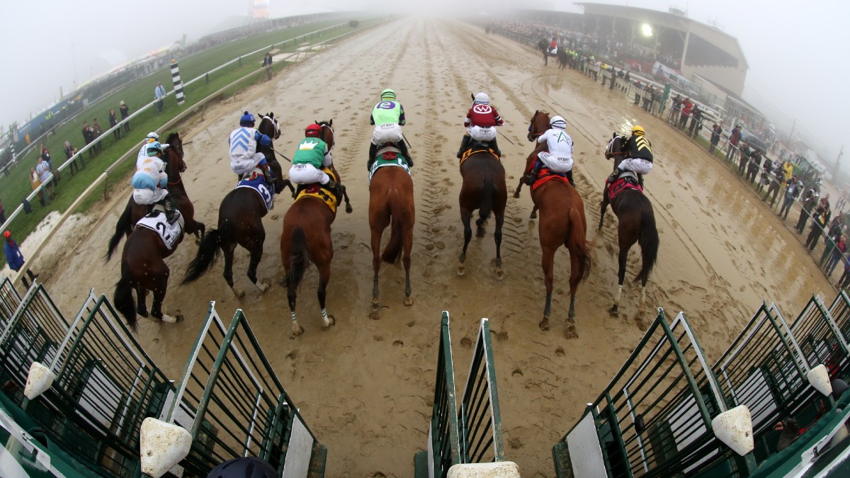 Preakness Stakes Odds, Best Bets: Expert Picks to Win, Exacta, Trifecta, Superfecta Image