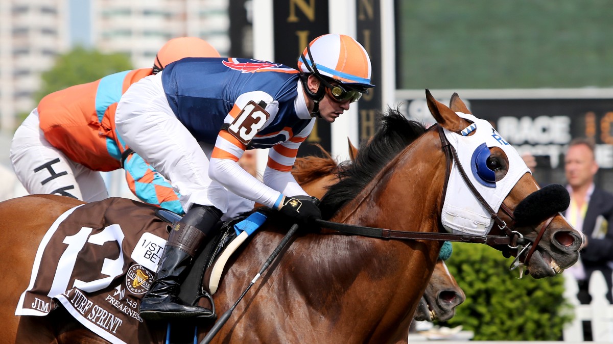 Preakness Stakes Picks and Predictions: Full Saturday Betting Card