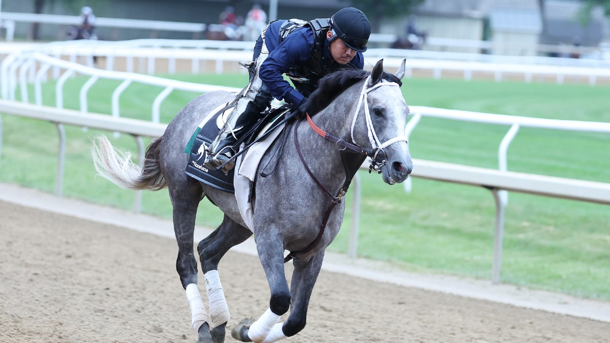 Full Belmont Stakes Betting Predictions for Saturday's Stakes Races