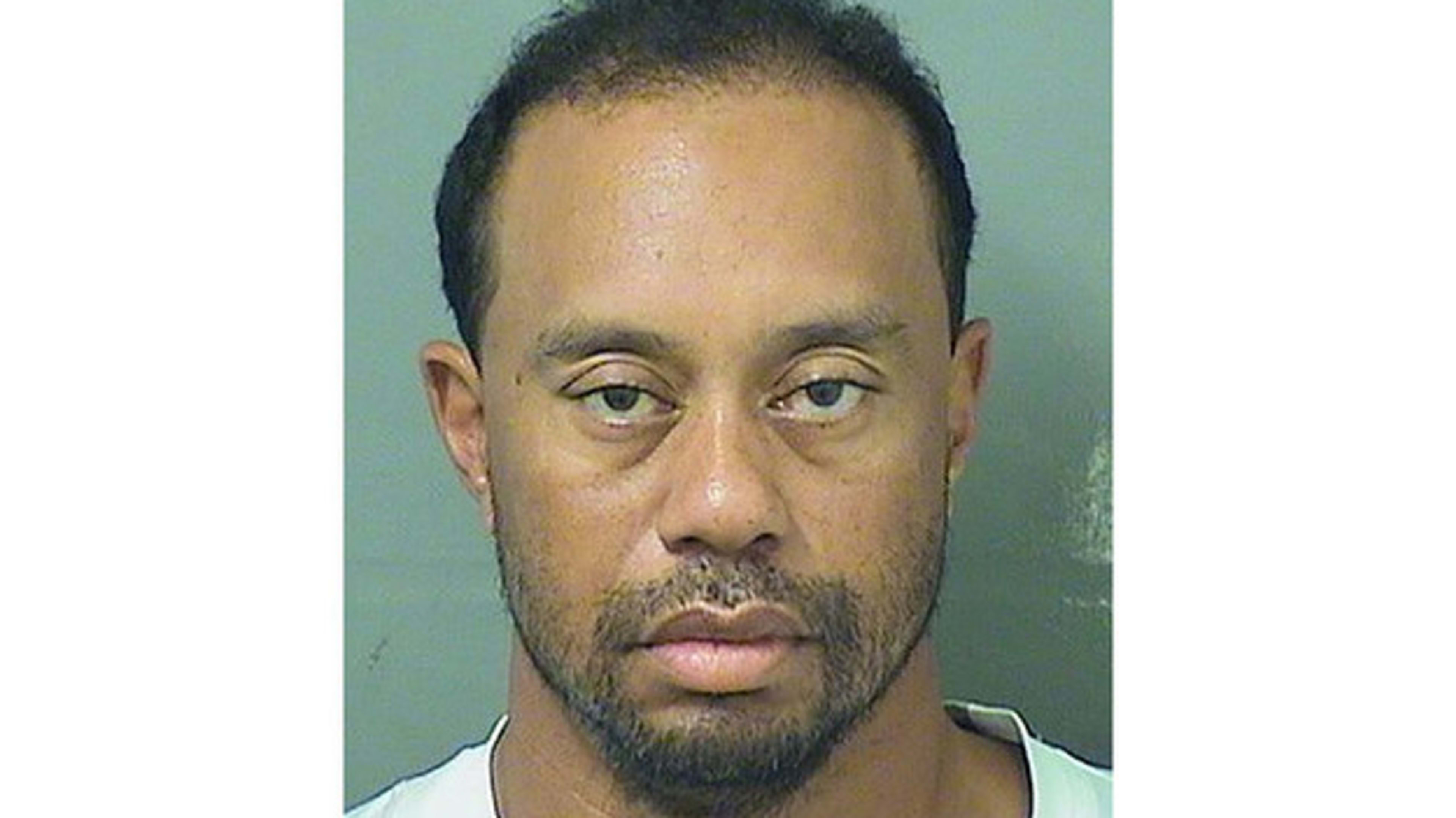 tiger woods mugshot