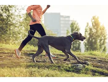 Pet GPS & Activity Monitors