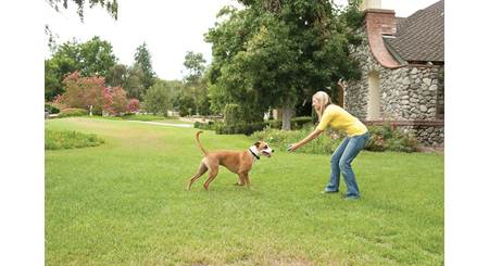 PetSafe Stay & Play® Compact Wireless Fence