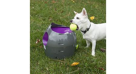 PetSafe Automatic Ball Launcher