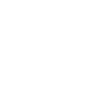 Ebony logo