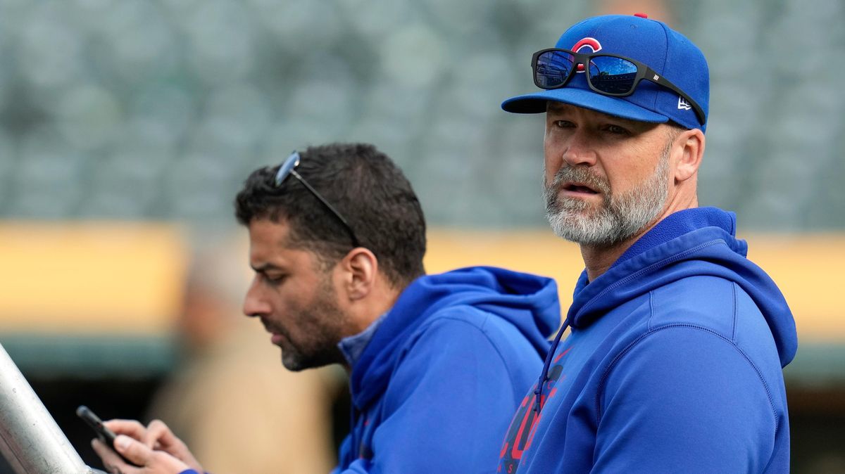 Chicago Cubs skipper David Ross is clueless