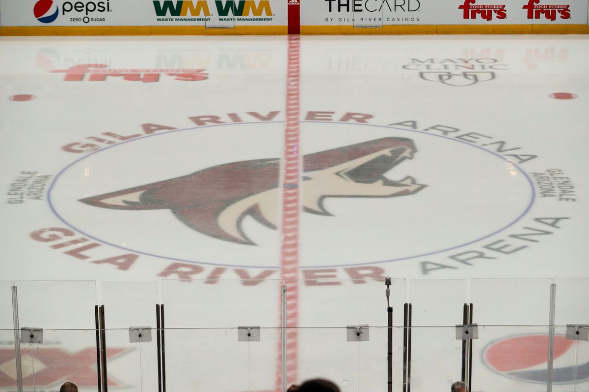 It sure looks like the Arizona Coyotes are going to play in a warehouse for the next few years