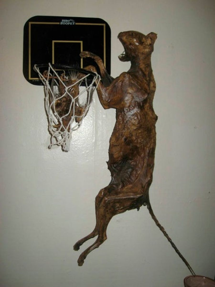 &quot;Mummified Cat Slam Dunking Mummified Bird&quot; Is Exactly What It Sounds Like