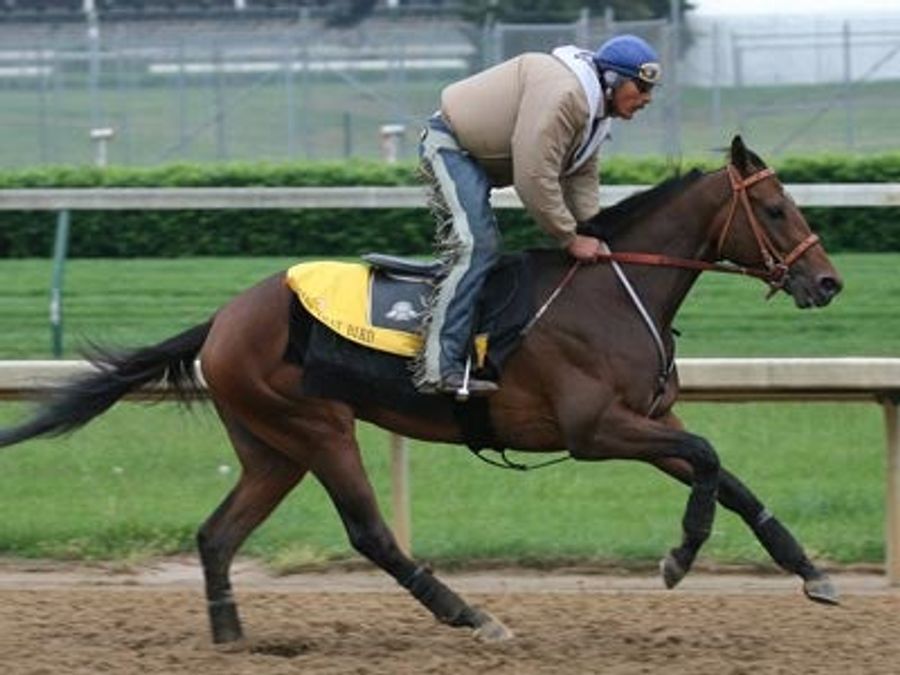 Filly To Steal Derby Winning Jockey