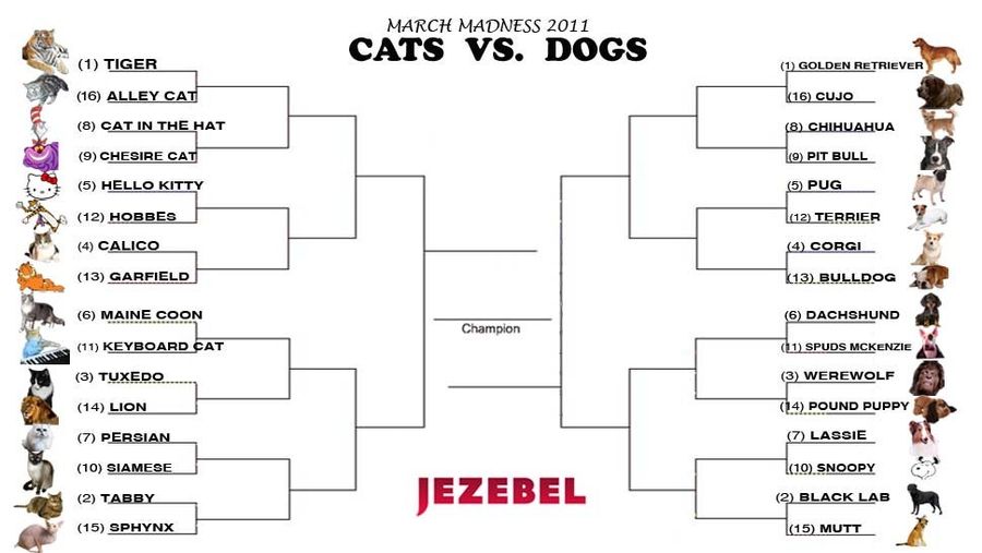 Jezebel’s March Madness 2011: Cats Vs. Dogs