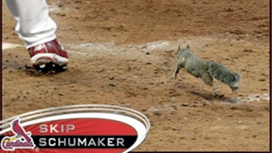 Skip Schumaker&#39;s New Baseball Card Features The Rally Squirrel