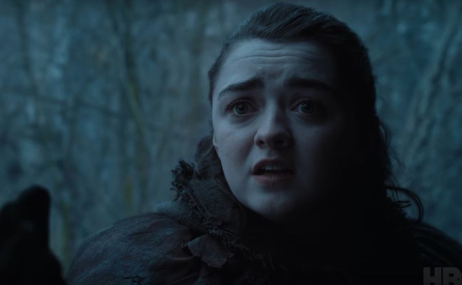 There&#39;s Only One <i>Game Of Thrones</i> Fan Theory That Matters Anymore