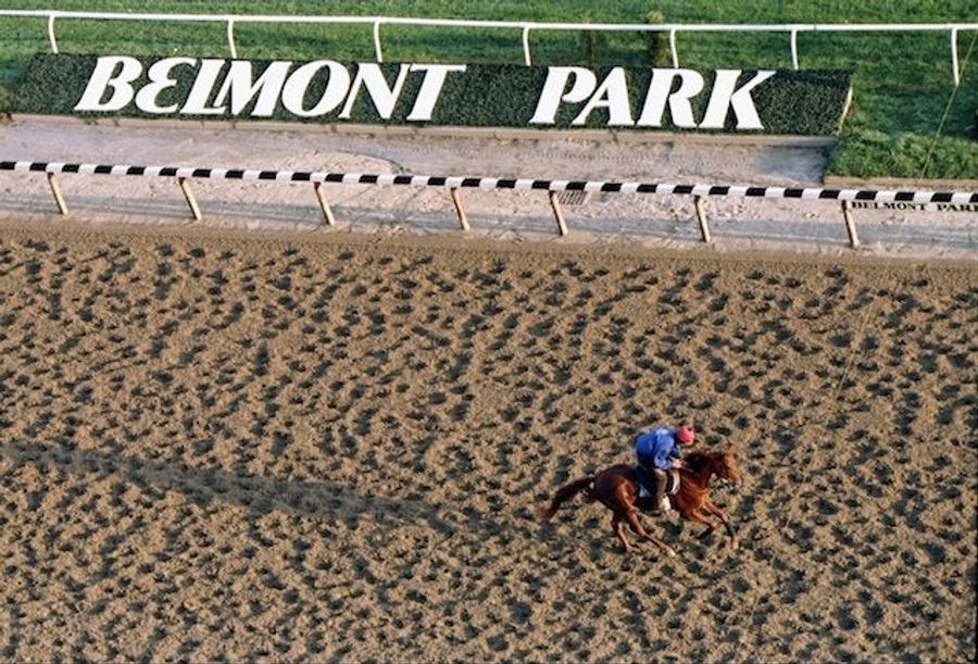 Someday Belmont: The Making Of A Race Horse