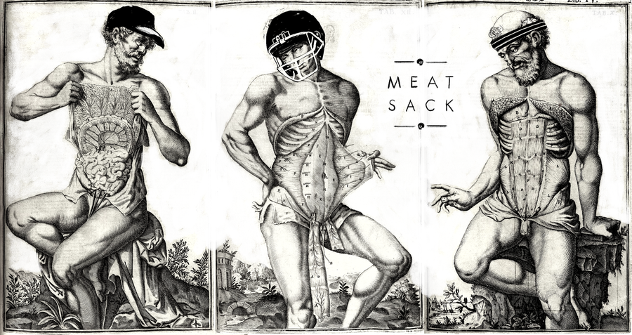 Welcome To Meat Sack, A Guide To Sports-Related Body Horror