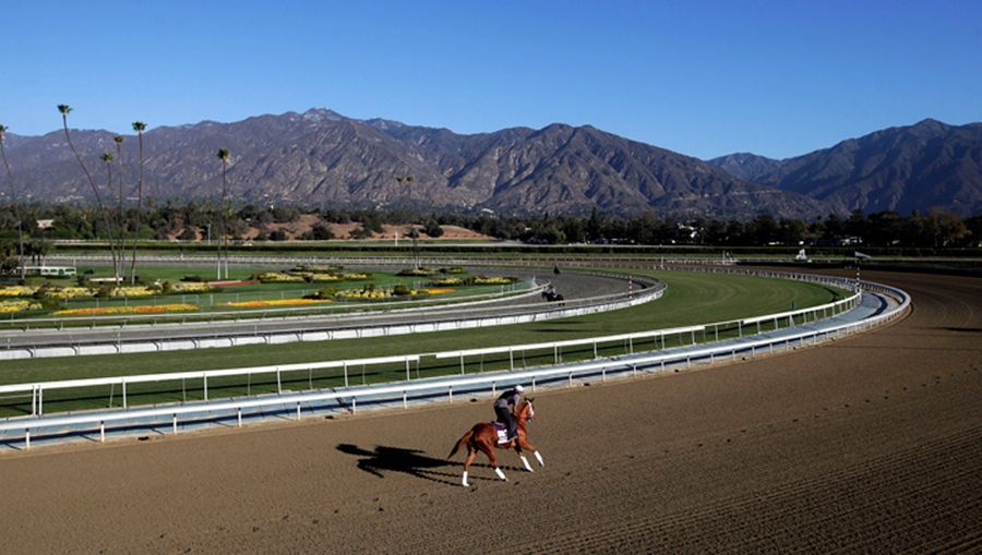 30th Horse Dies At Santa Anita; Hall Of Fame Trainer Banned From Track