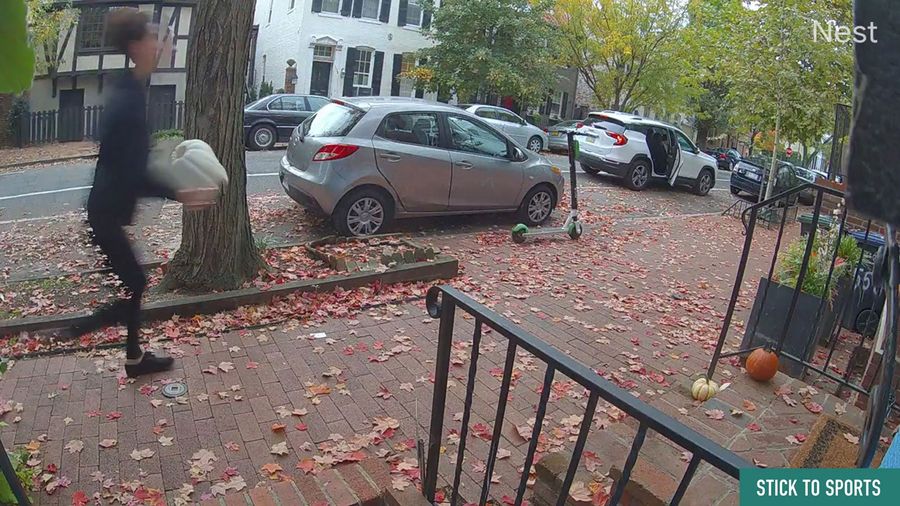 Check Out The Wheels On This Pumpkin Thief