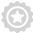 star badge