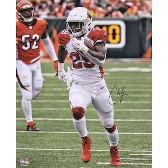 Autographed Arizona Cardinals Chase Edmonds Fanatics Authentic 16" x 20" Run vs. Bengals Photograph