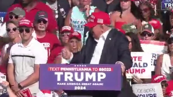 Video: Trump apparently shot at rally, bloodied leaving stage