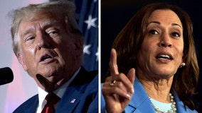 Where Trump, Harris stand on the economy, wages, and taxes