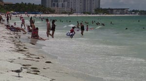 Off-duty Florida lifeguard saves 9, including family of 7, from dangerous rip current