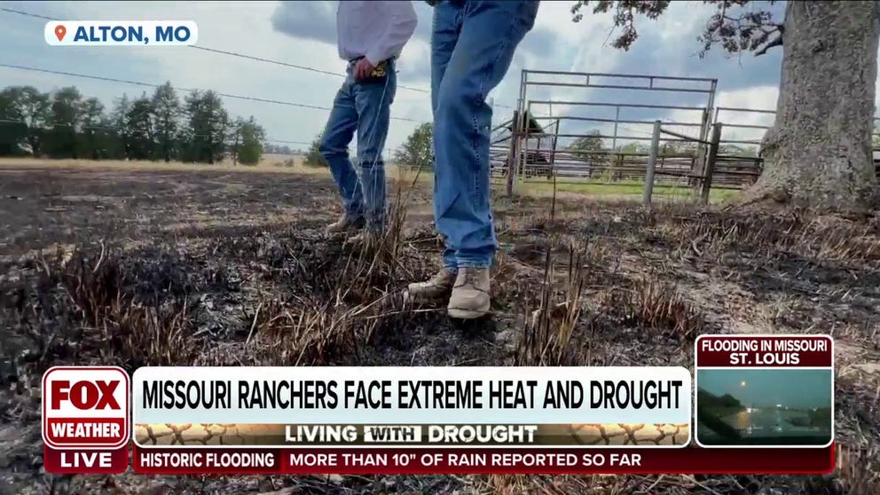 Missouri was drought-free a couple of months ago. Today, a drive across farmlands exhibit burned up grasses and cattle moving slowly in search of shade under the scorching summer sun. FOX Weather's Robert Ray has more on how ranchers face the unbearable heat and dry summer.