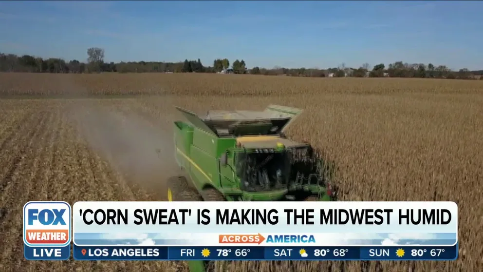 Nebraska State Climate Office Agricultural Extension Climatologist Al Dutcher explains how ‘corn sweat’ impacts weather in parts of the Central U.S. 