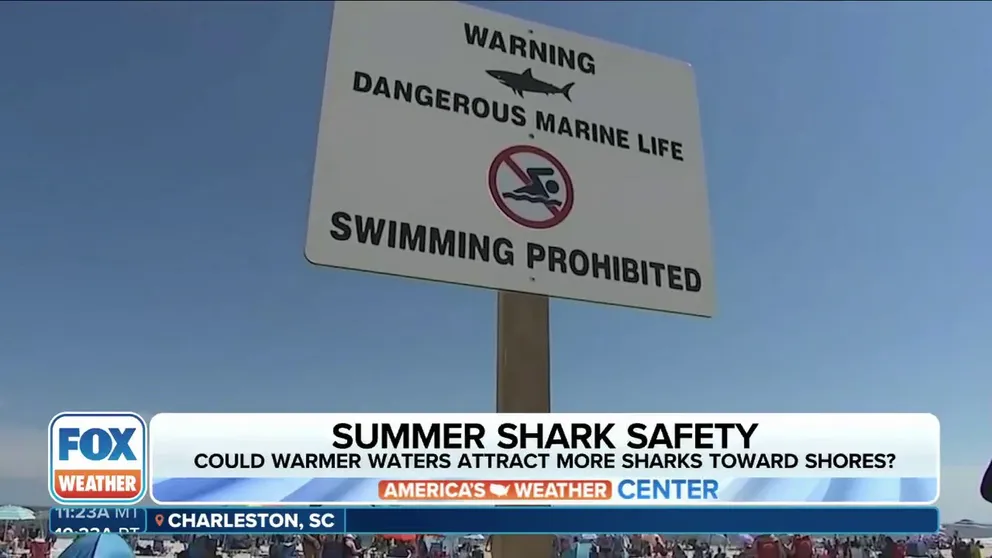 Shark expert Forest Galante explains that no matter where you are in the ocean, there is probably a shark within a quarter-mile of you. He says that warmer sea temperatures are moving sharks into new areas we haven't seen them before.