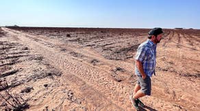 Farmers struggle as Texas cotton fields decimated by extreme heat, drought