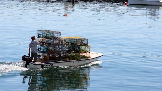 Maine Coast New England USA Jonesport lobsterman with traps on boat. (Photo by: Education Images/Universal Images Group via Getty Images)