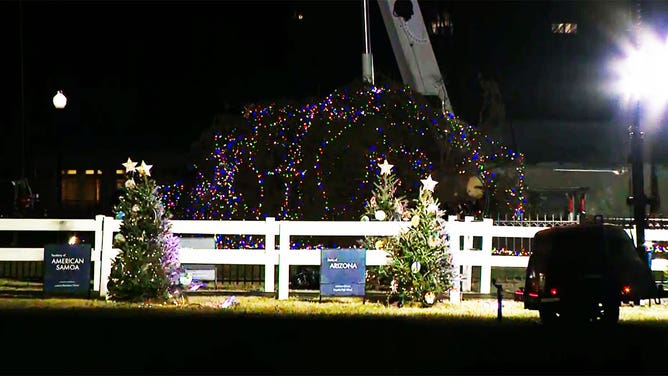 Crews work to right the National Christmas Tree in Washington after it was blown over by gusty winds Nov. 28, 2023.