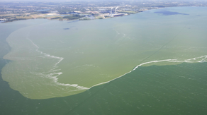 Harmful algae blooms in Great Lakes could increase this summer, NOAA warns