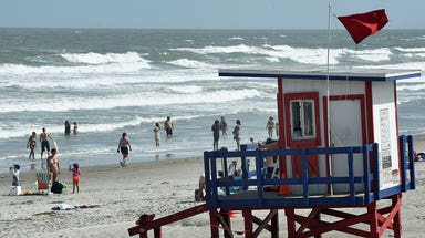 What do the different flags at the beach mean?