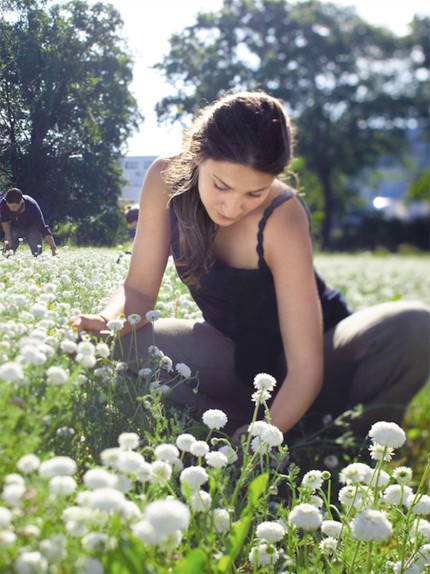 Yves Rocher e La Gacilly, la “beauty valley” all'origine della nuova bellezza