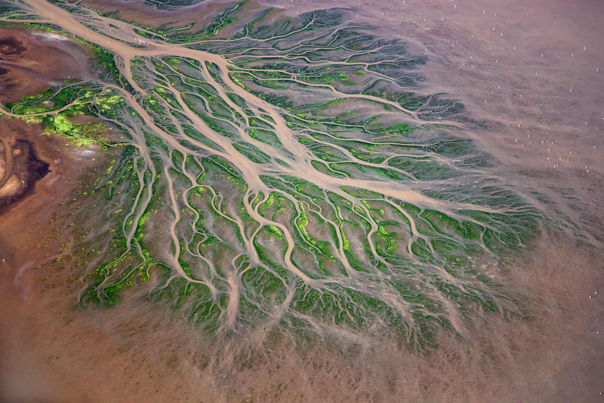 Aerial view of river delta patterns