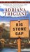 Big Stone Gap (Big Stone Gap, #1) by Adriana Trigiani