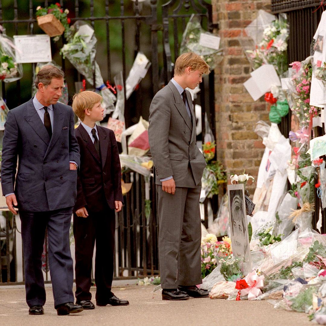 The trip Prince William was meant to have taken the day Princess Diana died revealed by royal pilot