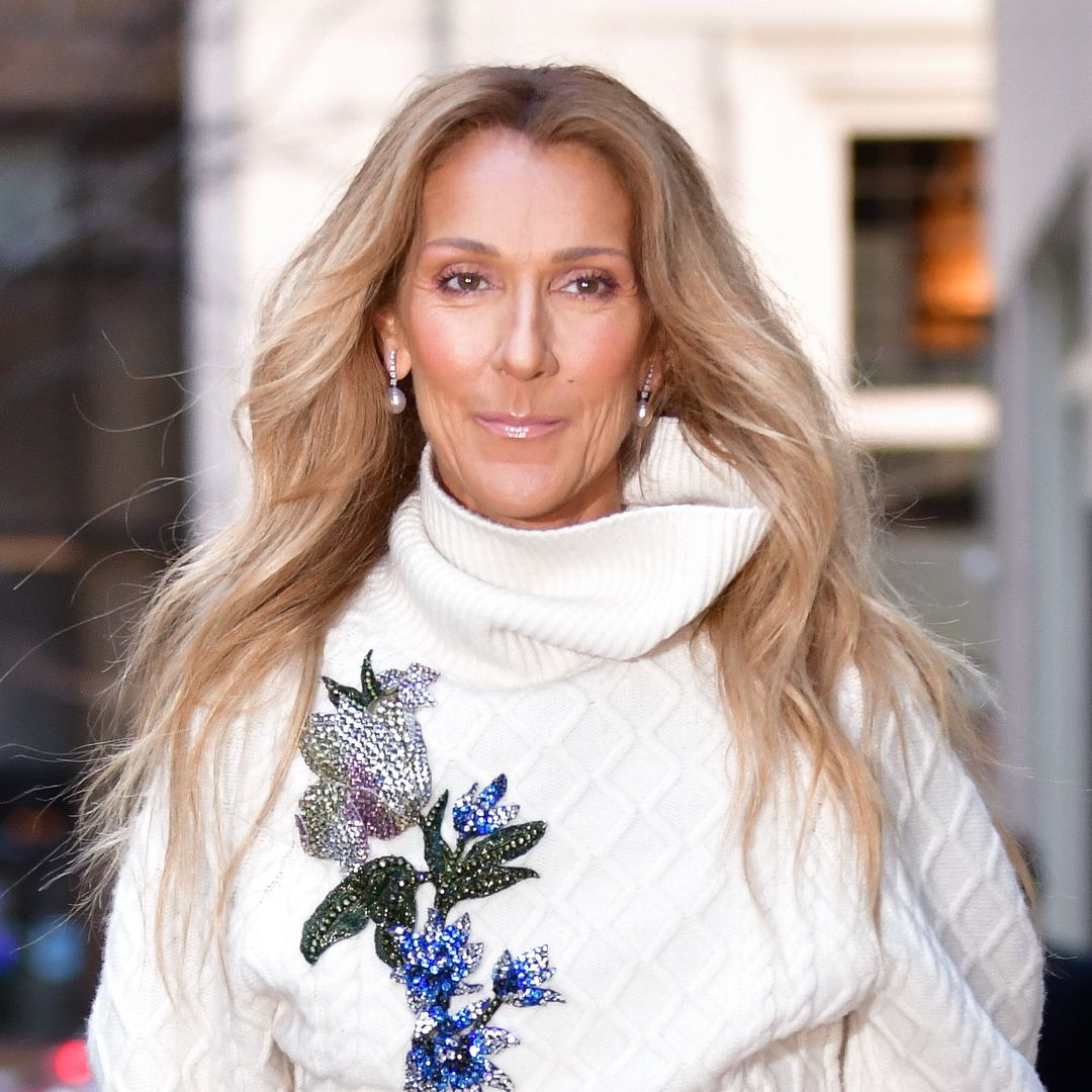 Celine Dion's new co-stars weigh in on her health crisis as they inundate her with support