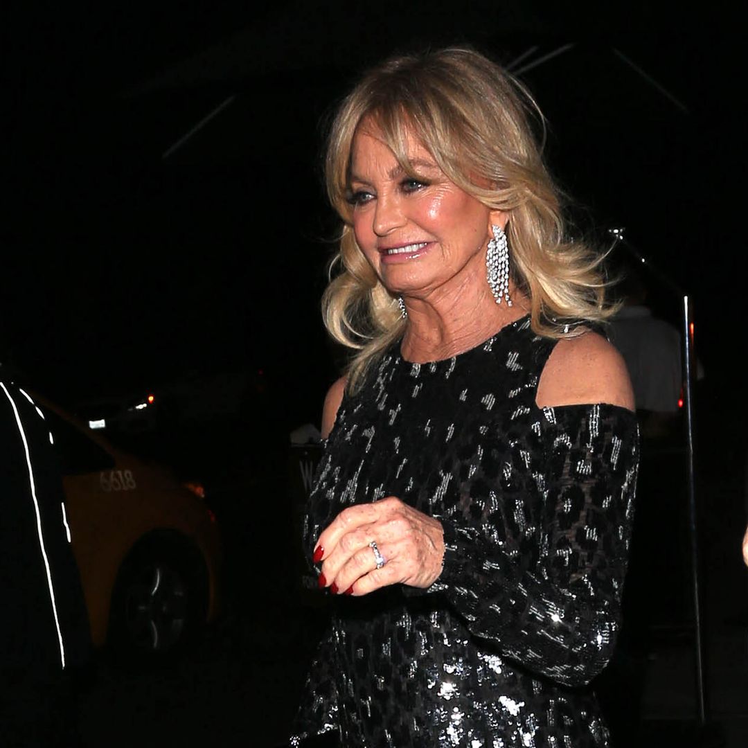 Goldie Hawn stuns in black lace dress in sun-kissed photo during quality time with famous family