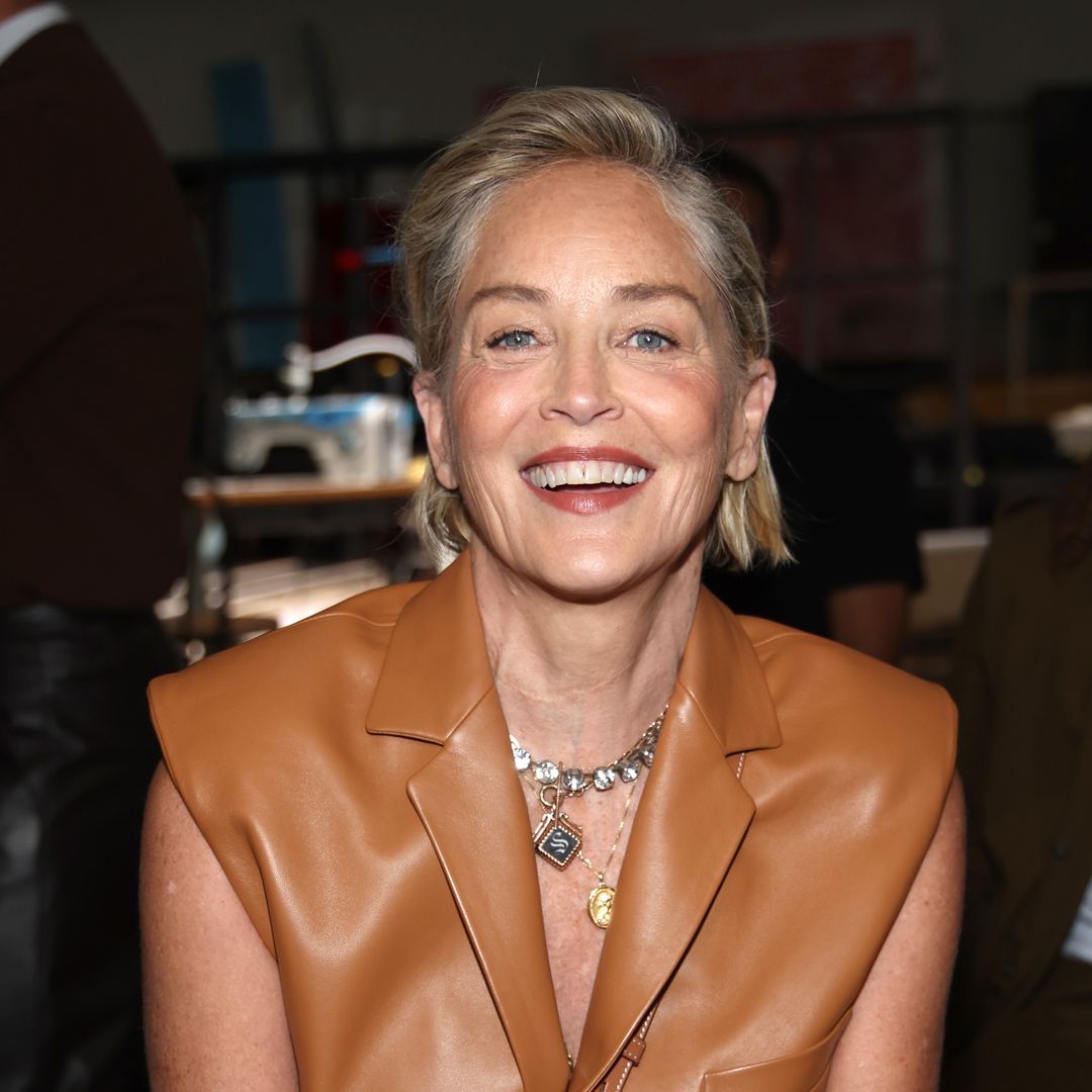 Sharon Stone sets pulses racing wearing nothing but lace lingerie and heels