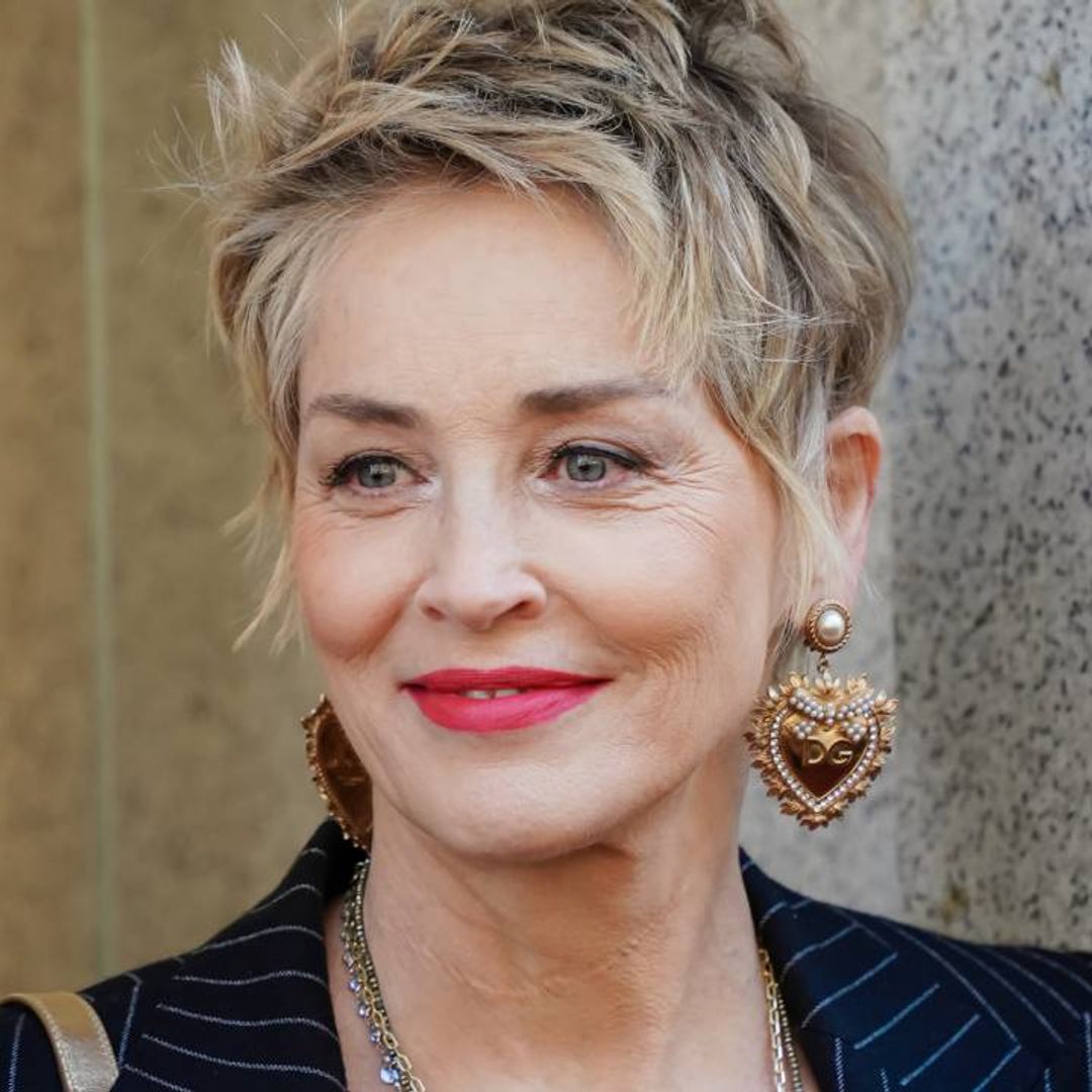 Sharon Stone details how Hollywood career ended over devastating health scare