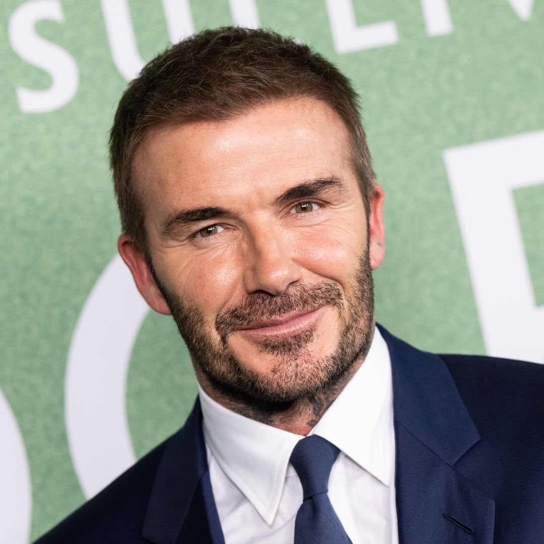 David Beckham gets into the festive spirit at his lavish £6million Cotswold mansion