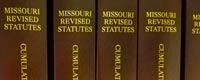 Image of Statute Books On A Shelf