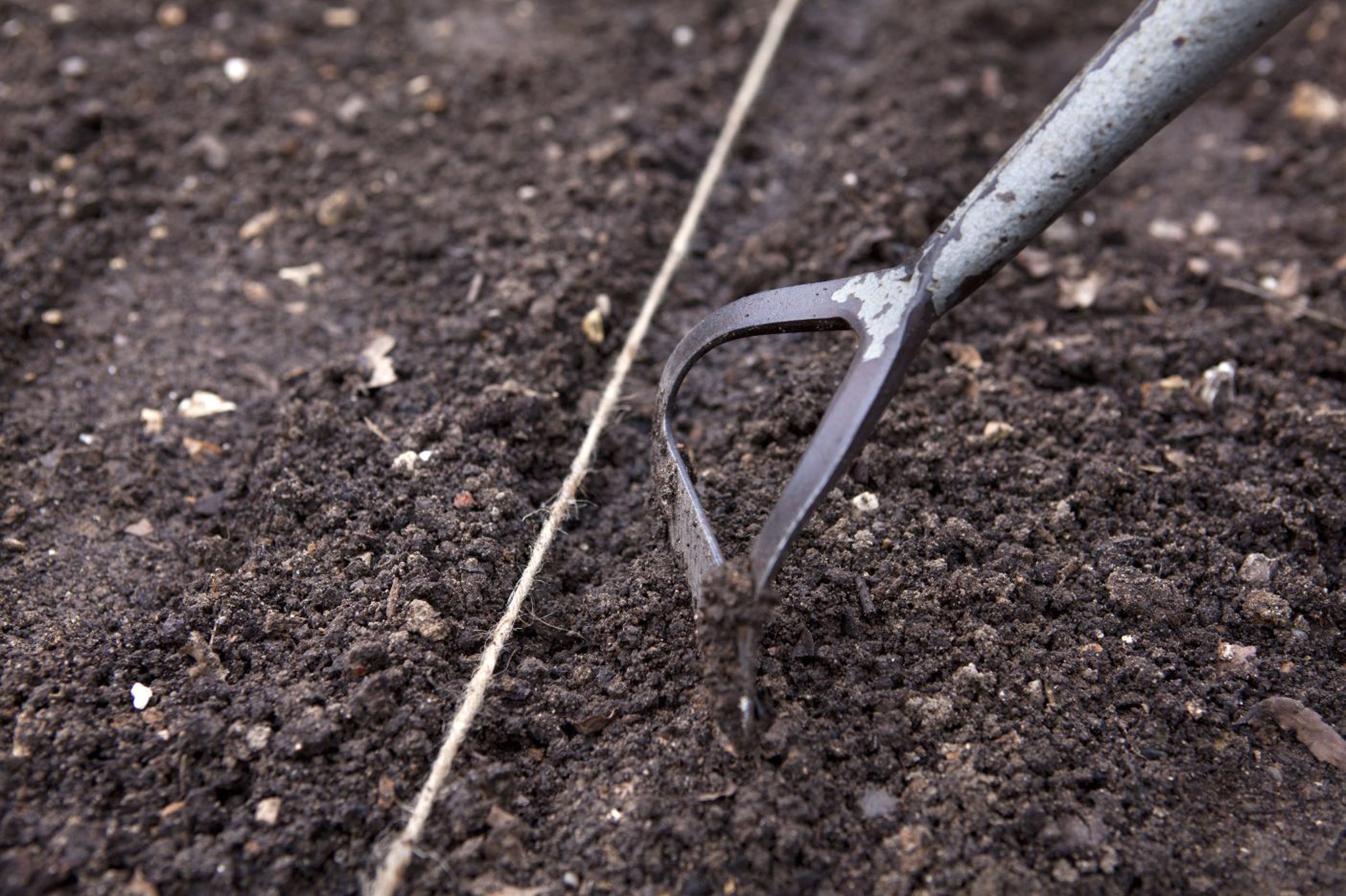 Covering rocket seed with soil