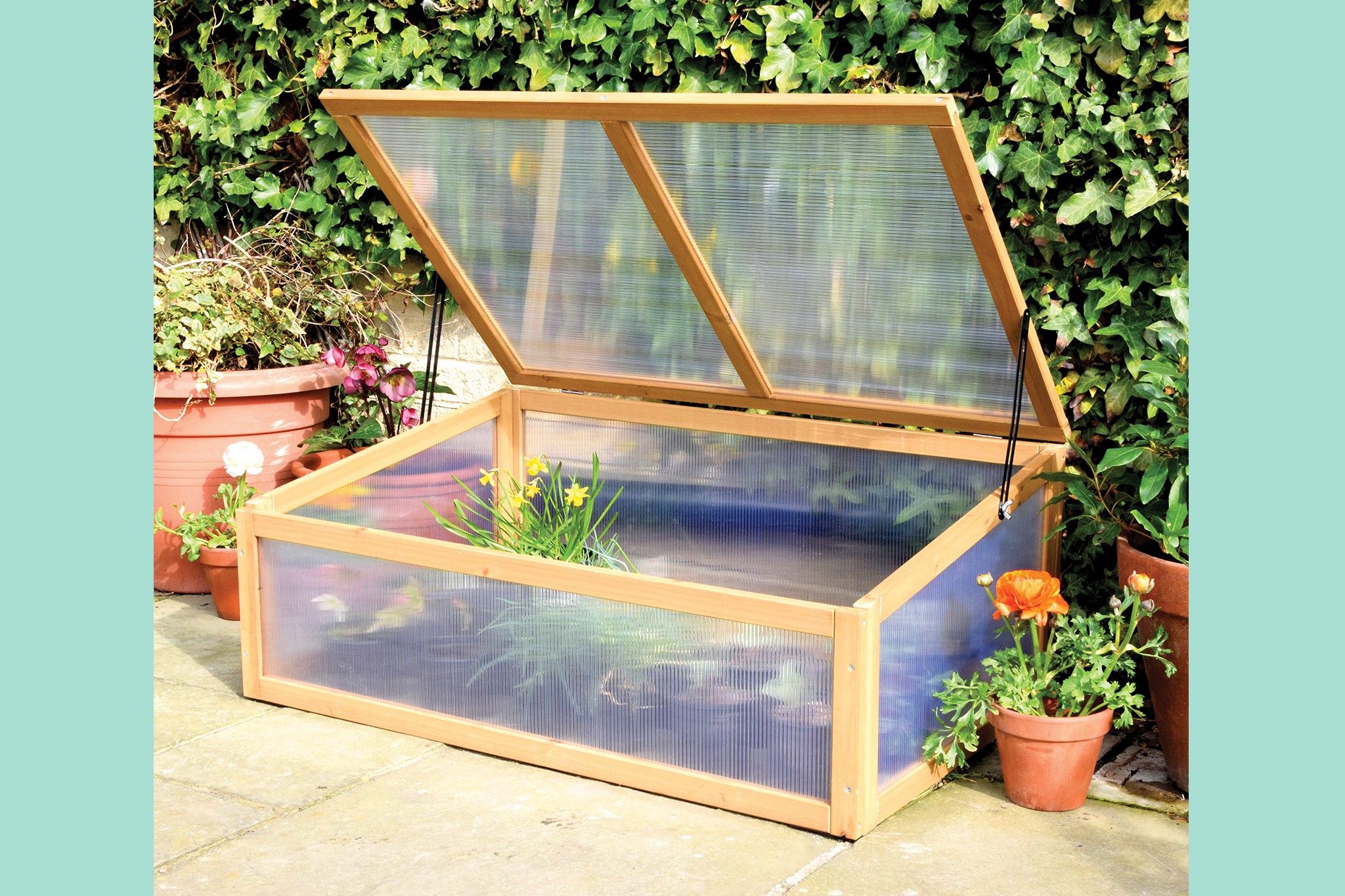 VidaXL Firwood Cold Frame - BBC Gardeners' World Magazine